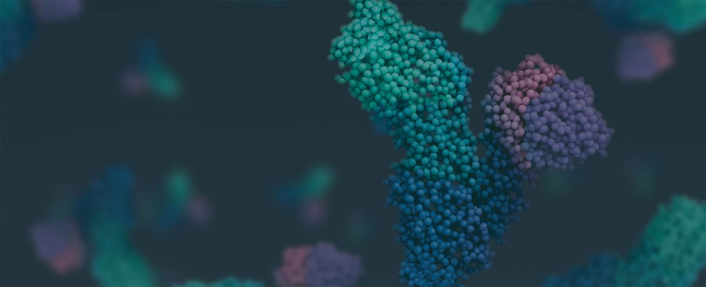 BSA 3d molecules - web banner